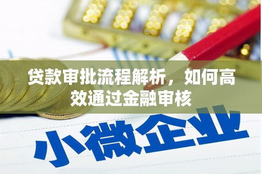 成武贷款审批流程解析，如何高效通过金融审核