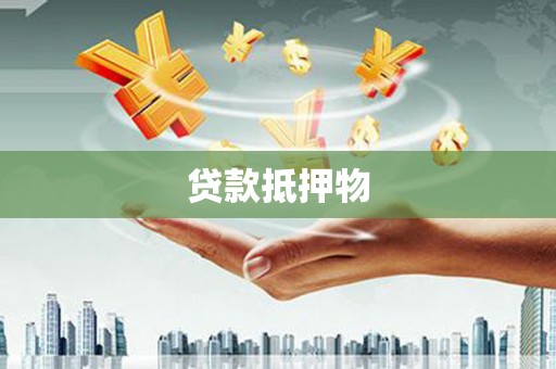 成武贷款抵押物