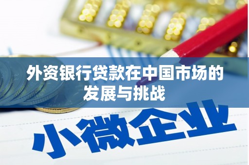 成武外资银行贷款在中国市场的发展与挑战