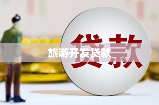 成武旅游开发贷款