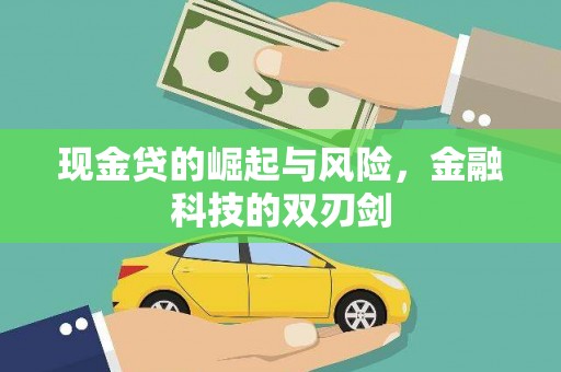 成武现金贷的崛起与风险，金融科技的双刃剑