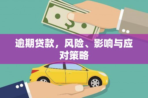 成武逾期贷款，风险、影响与应对策略