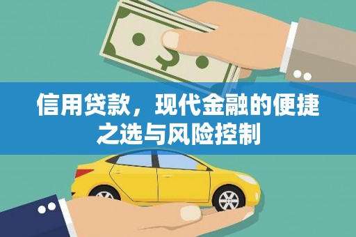 成武信用贷款，现代金融的便捷之选与风险控制