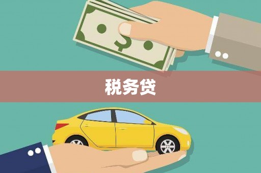 成武税务贷