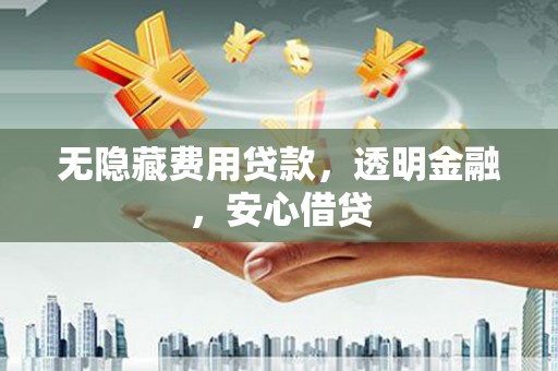 成武无隐藏费用贷款，透明金融，安心借贷