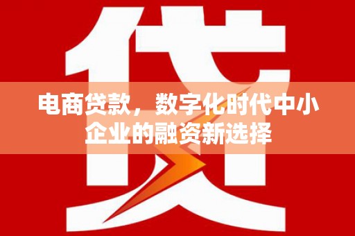 成武电商贷款，数字化时代中小企业的融资新选择