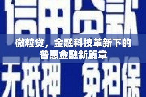 成武微粒贷，金融科技革新下的普惠金融新篇章