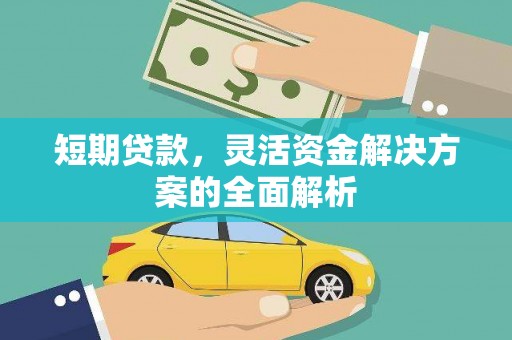 成武短期贷款，灵活资金解决方案的全面解析