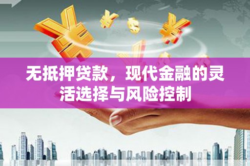 成武无抵押贷款，现代金融的灵活选择与风险控制