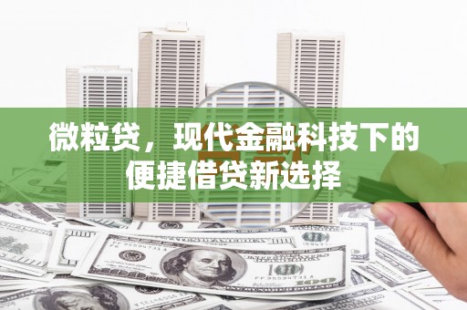 成武微粒贷，现代金融科技下的便捷借贷新选择