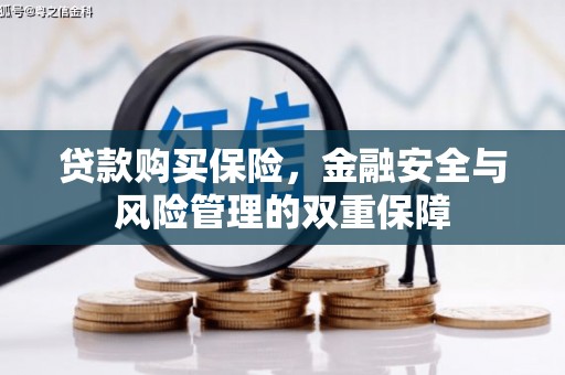 成武贷款购买保险，金融安全与风险管理的双重保障