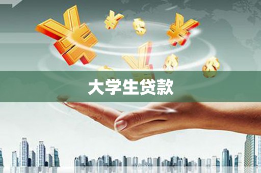 成武大学生贷款