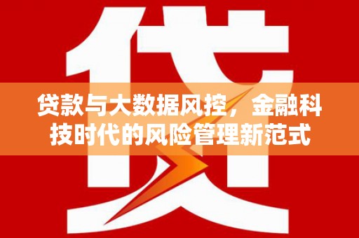成武贷款与大数据风控，金融科技时代的风险管理新范式