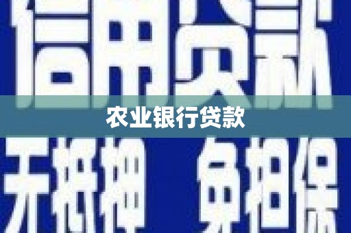 成武农业银行贷款