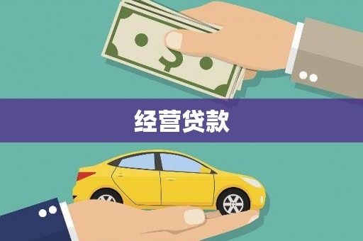 成武经营贷款
