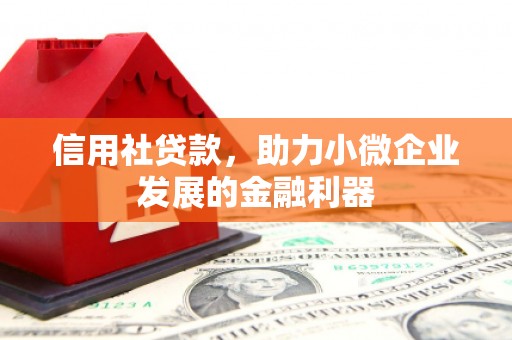 成武信用社贷款，助力小微企业发展的金融利器