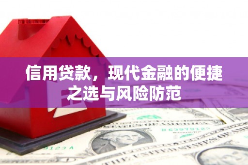 成武信用贷款，现代金融的便捷之选与风险防范