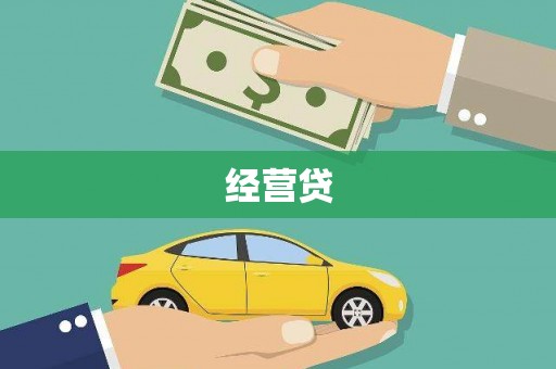 成武经营贷