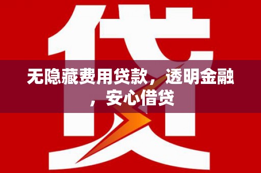 成武无隐藏费用贷款，透明金融，安心借贷