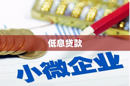成武低息贷款