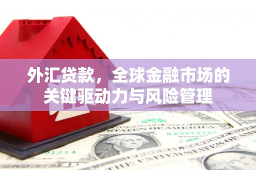 成武外汇贷款，全球金融市场的关键驱动力与风险管理