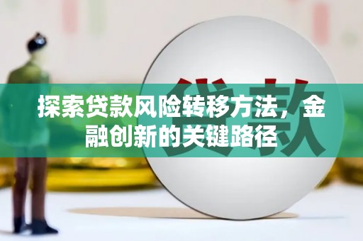 成武探索贷款风险转移方法，金融创新的关键路径