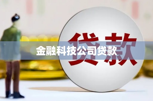 成武金融科技公司贷款