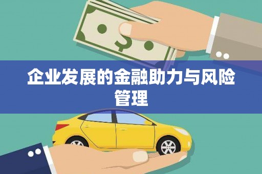 成武企业发展的金融助力与风险管理