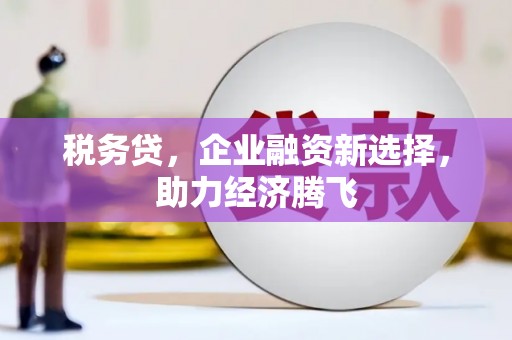 成武税务贷，企业融资新选择，助力经济腾飞