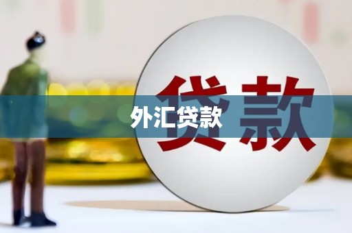 成武外汇贷款