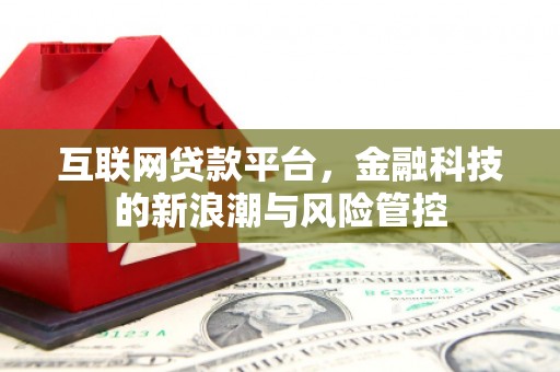 成武互联网贷款平台，金融科技的新浪潮与风险管控