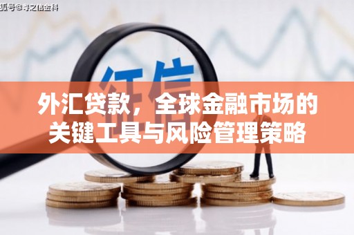 成武外汇贷款，全球金融市场的关键工具与风险管理策略