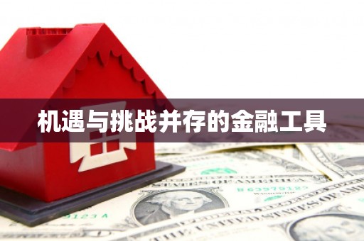 成武机遇与挑战并存的金融工具