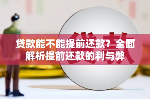 成武贷款能不能提前还款？全面解析提前还款的利与弊