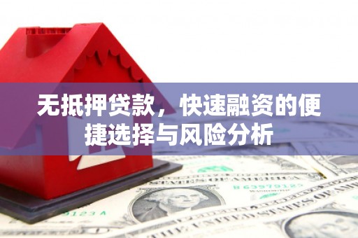 成武无抵押贷款，快速融资的便捷选择与风险分析