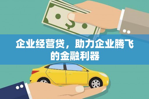 成武企业经营贷，助力企业腾飞的金融利器