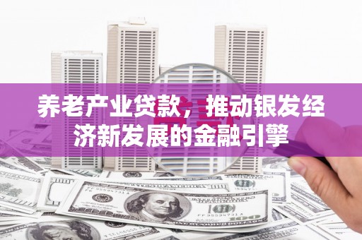成武养老产业贷款，推动银发经济新发展的金融引擎