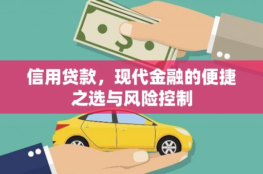 成武信用贷款，现代金融的便捷之选与风险控制