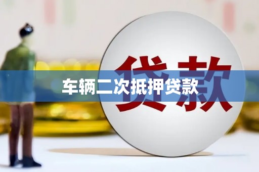 成武车辆二次抵押贷款