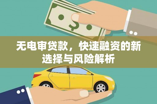 成武无电审贷款，快速融资的新选择与风险解析