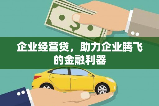 成武企业经营贷，助力企业腾飞的金融利器