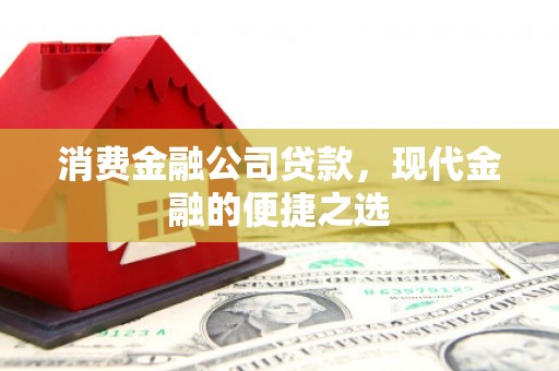 成武消费金融公司贷款，现代金融的便捷之选