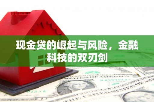 成武现金贷的崛起与风险，金融科技的双刃剑