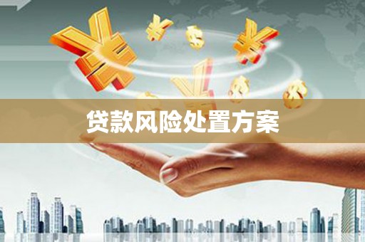 成武贷款风险处置方案
