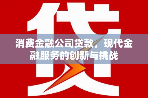成武消费金融公司贷款，现代金融服务的创新与挑战