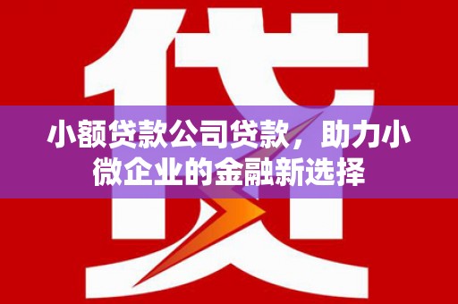 成武小额贷款公司贷款，助力小微企业的金融新选择