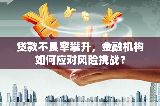 成武贷款不良率攀升，金融机构如何应对风险挑战？