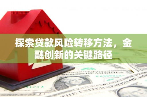 成武探索贷款风险转移方法，金融创新的关键路径