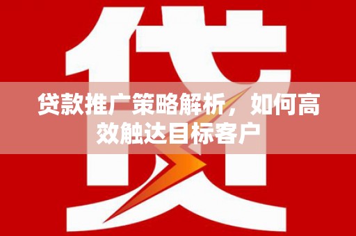 成武贷款推广策略解析，如何高效触达目标客户