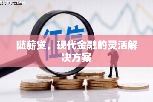 成武随薪贷，现代金融的灵活解决方案